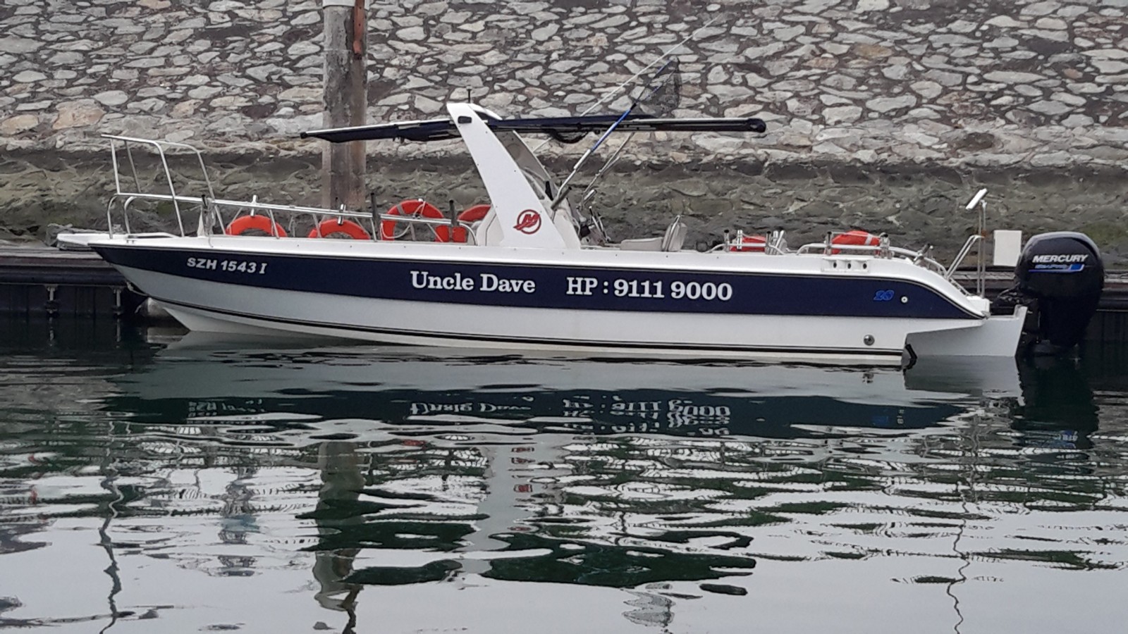 Dyna Glass with New 60 HP for sale - FishingKaki.com