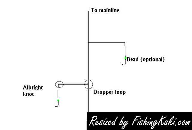 Sharing Of Knowledge Regarding Surf Casting Fishingkaki Com