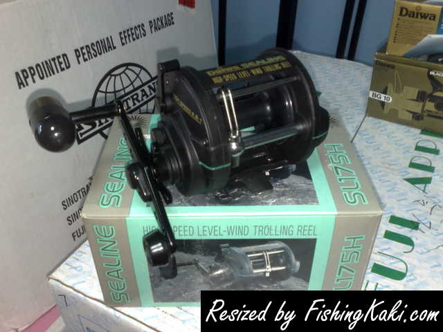daiwa sealine sl175h