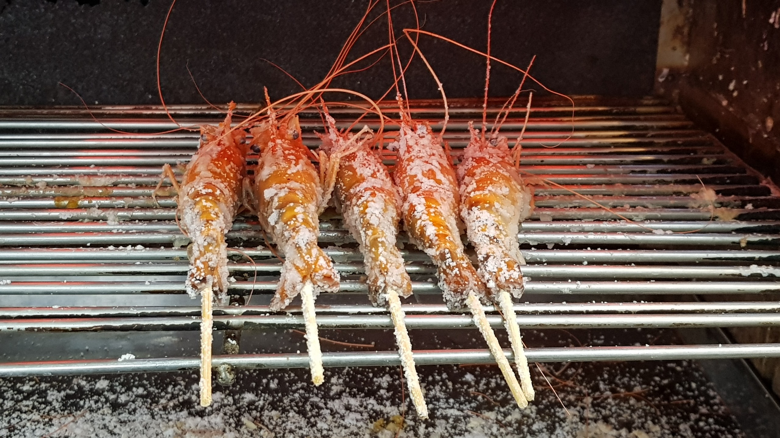 Prawn Fishing in Taiwan