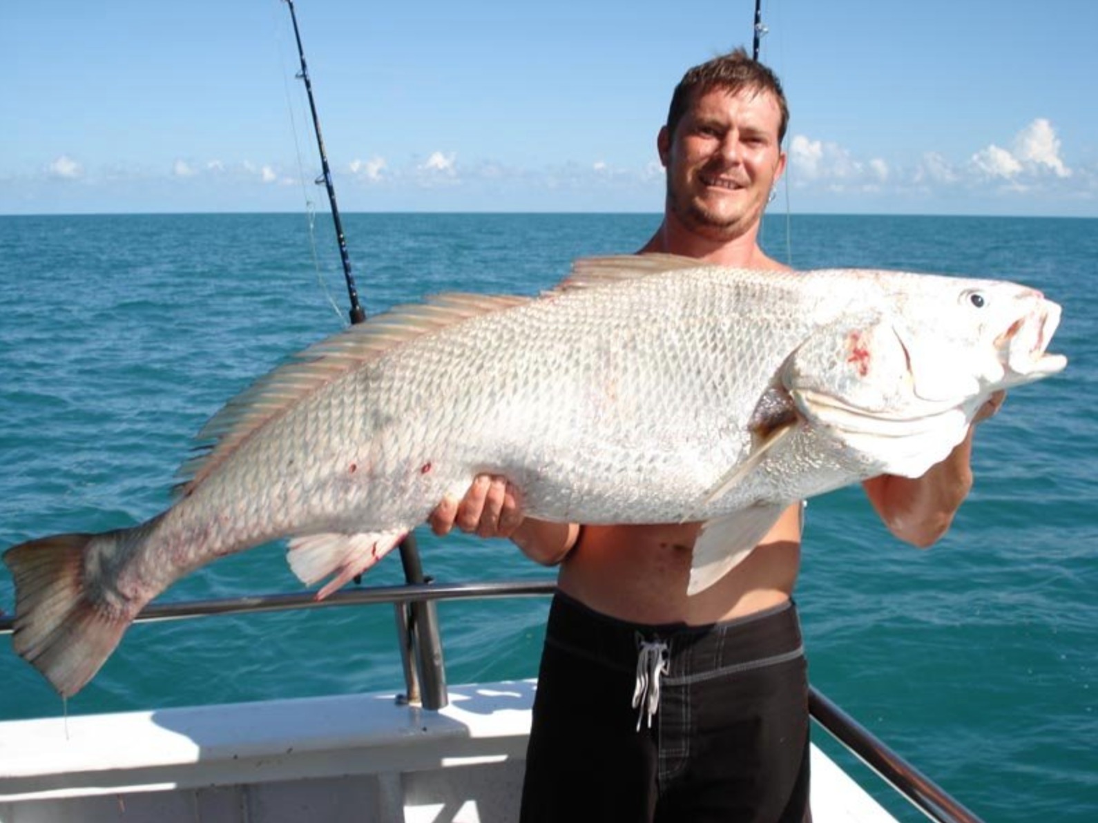 Fish Darwin ARAFURA BLUE WATER CHARTERS Tourism Top End Partnership