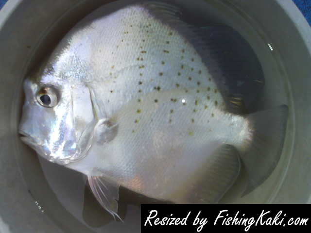 Cr From Bedok Jetty On 24aug07 Fishingkaki Com Cr From Bedok Jetty On 24aug07 Fishingkaki Com
